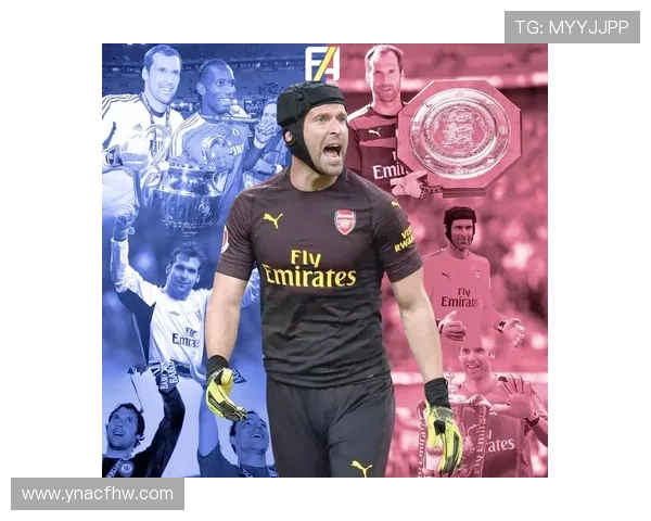 八号球衣传奇足球明星的辉煌历程与不朽影响力分析