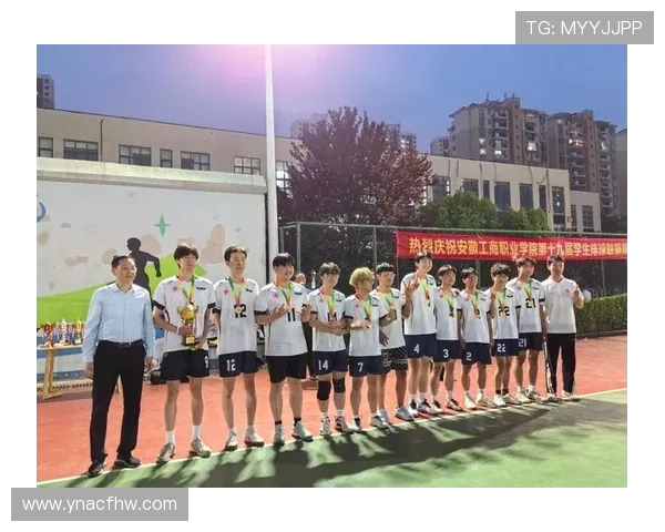 西安排球队在挑战赛中的技术表现分析与点评