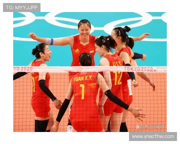 南京排球队实力引发热议球迷对球队表现的看法与争论