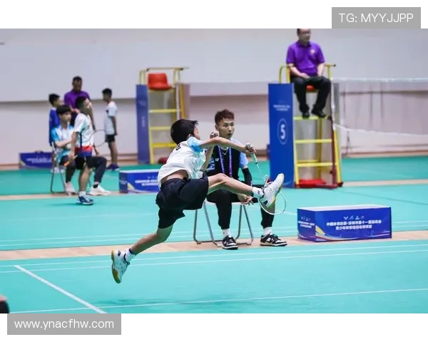 南京羽毛球队荣登羽毛球状态排行榜第三名展现强劲实力