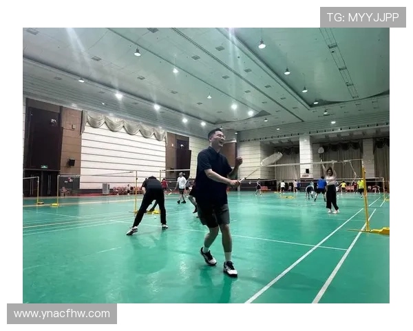 武汉羽毛球队在全国羽毛球比赛经验排行榜中荣获第九名的荣耀之路