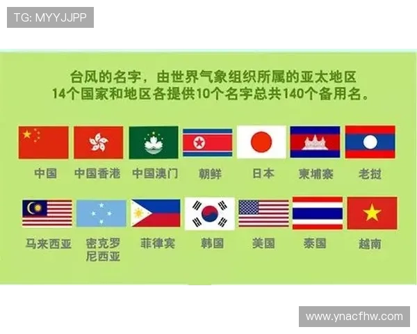 足球明星的日文名字解析与背后的故事分享