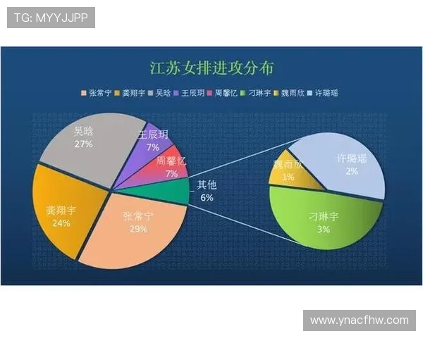 对话王静：回顾辉煌排球生涯与未来展望的深度交流