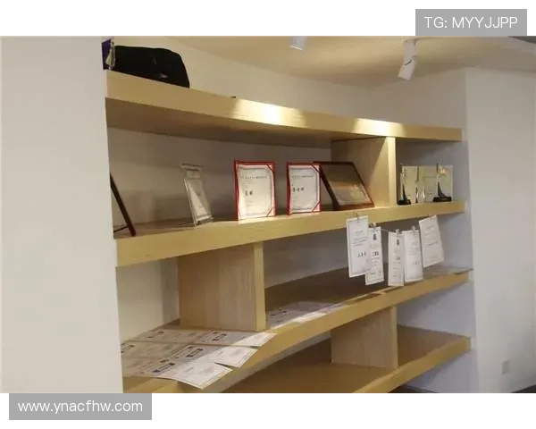 广州排球队的崛起之路：从默默无闻到锦标赛的璀璨明星