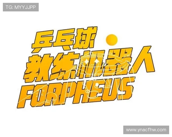 成都乒乓球队的崛起与发展探秘聚焦力量与未来潜力分析