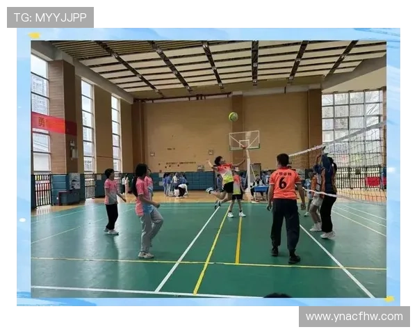 武汉排球队在冠军赛中的团队协作展现出卓越实力与默契配合